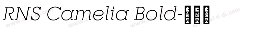 RNS Camelia Bold字体转换